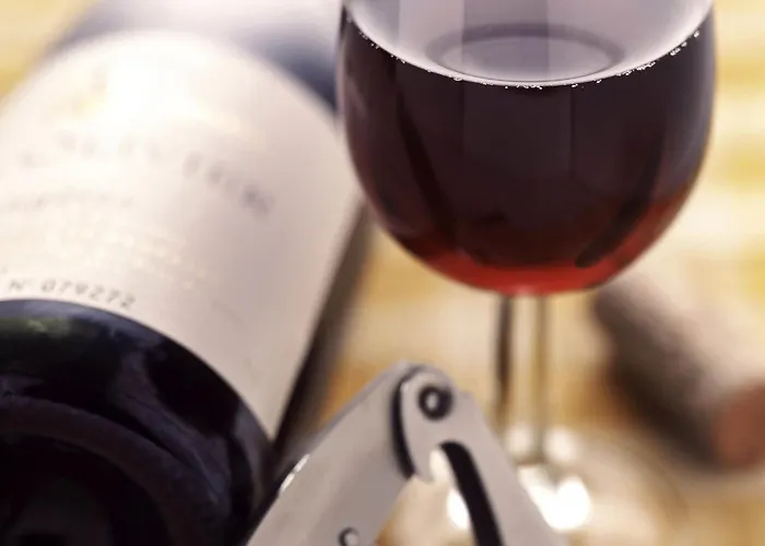 Ξενοδοχείο Ibis Centre - Gare Saint-jean