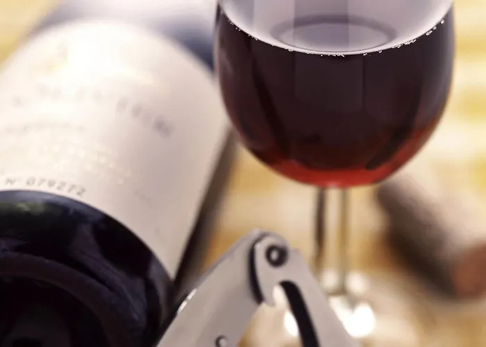 מלון Ibis Centre - Gare Saint-jean בורדו