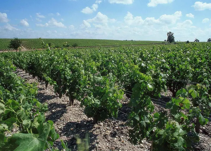 波尔多市中心圣让车站宜必思酒店 酒店